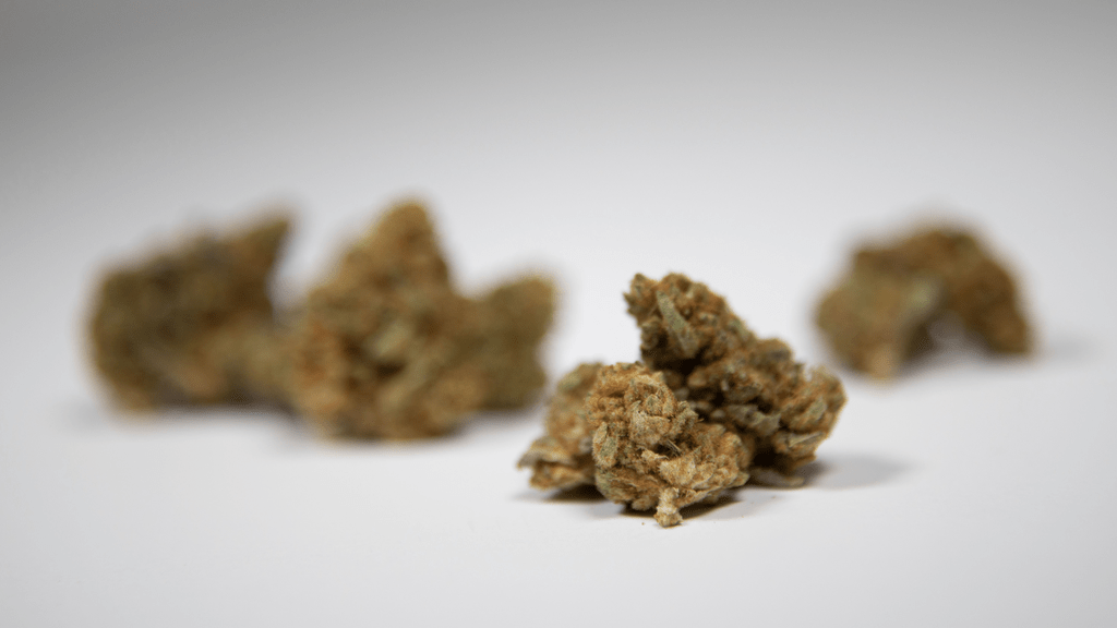 Cannabis and MMA Fighters: Risks to Consider